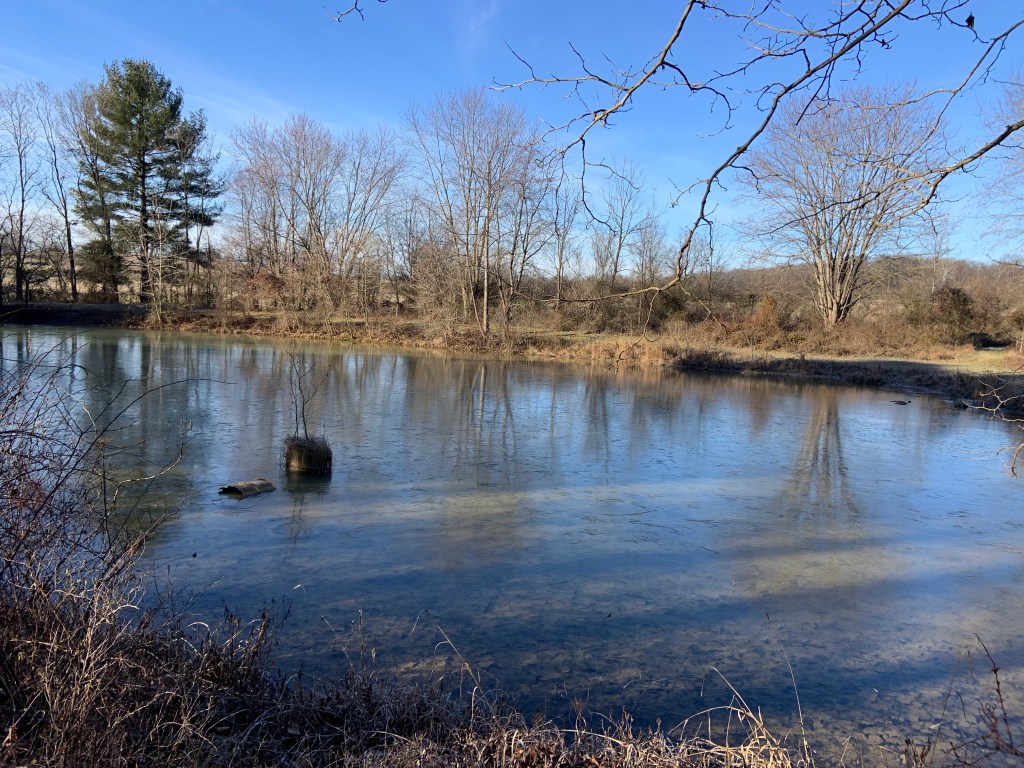 Early Morning Walking&nbsp;Poems